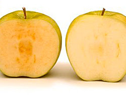 GMO apple
