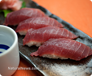 Sushi-Bar-Tuna-Fish