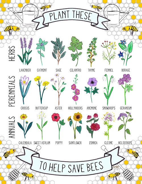 Plants for bees
