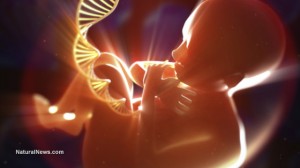 Baby-DNA-Womb-Scan-Genes