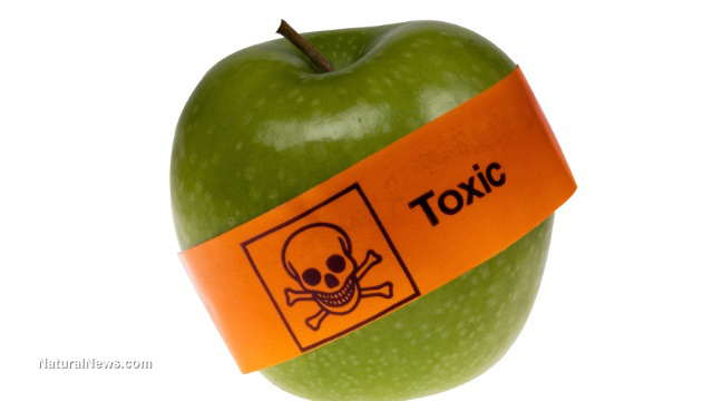 Gmo-Apple-Toxic