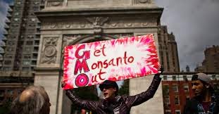 get monsanto out