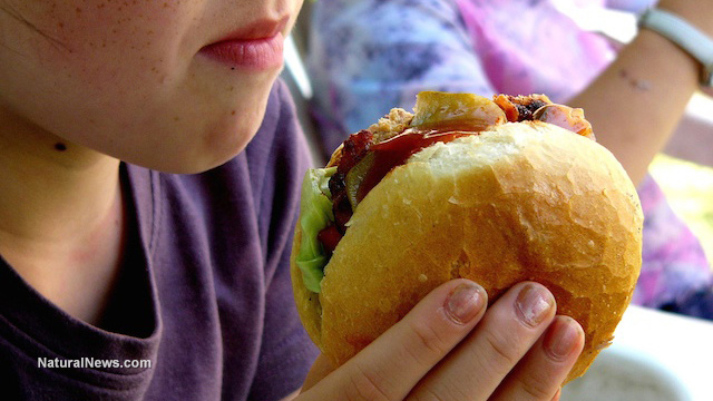Boy-Child-Eating-Hamburger-Lunch