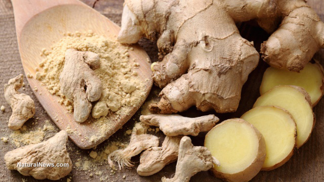 Ginger-Rood-Herb-Spoon