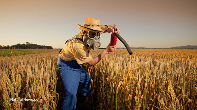 Farmer-Gas-Mask-Insecticide-Pesticide-Wheat-Field-Crops-Funny