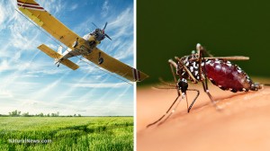 Pesticide-Crop-Spray-Mosquito
