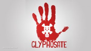 glyphosate-red-hand-herbicide