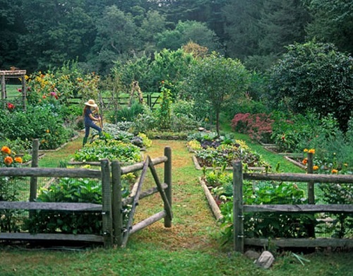 country-garden