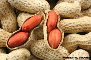 peanut-allergy-cure