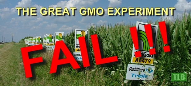 GMO-Experiment-1